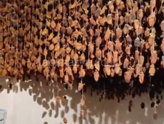 Хурма-сушеная