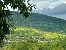 УЧАСТОК 18 СОТОК В СУХУМЕ ЗА 1,5 млн.₽