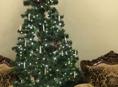 Продаётся елка