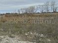 срочно 12 соток в Алахадзы 