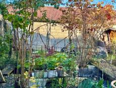 УЧАСТОК С ДОМОМ У МОРЯ В СУХУМЕ НА МАЯКЕ