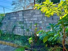 УЧАСТОК С ДОМОМ У МОРЯ В СУХУМЕ НА МАЯКЕ