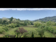  20 соток в 5 минутах от центра города 1.5 🍋 с видом на море Ул,братьев Зантария , асфальтированная дорога , ровный участок , подлежит строительству дома либо коттеджных домов ,собственник, WhatsApp +79407118144