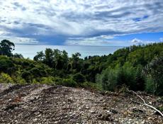 От пещеры 200 метров