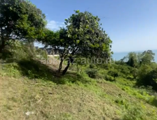 От пещеры 200 метров 