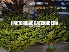 Датские елки на новый год 