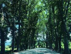 Продам участок