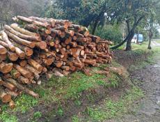 Сухая дрова