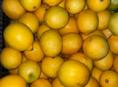 Продаем лимоны примерно 150 кг