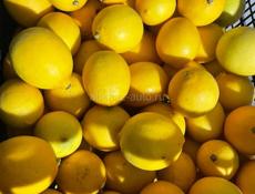 Продаем лимоны примерно 150 кг