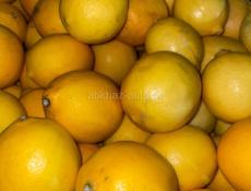 Продаем лимоны примерно 150 кг