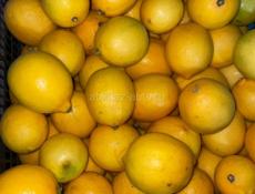 Продаем лимоны примерно 150 кг