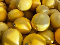 Продаем лимоны примерно 150 кг