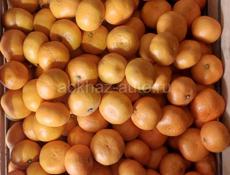 Продаются мандарины. с. Нижняя Эшера