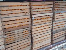 Продаются мандарины. с. Нижняя Эшера