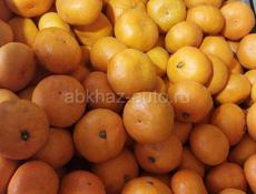 Продаются мандарины. с. Нижняя Эшера