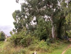 Ул. Комарова.