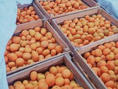 Мандарины жёлтые 