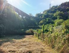 Срочно торг продаю участок