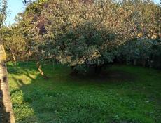 Хороший участок с домом ( под снос )