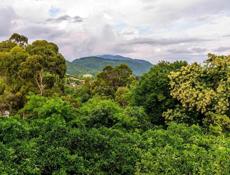 Срочная продажа