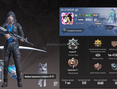 Аккаунт в PUPG MOBILE 