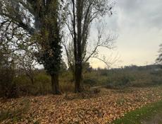 Участок на территории приморском