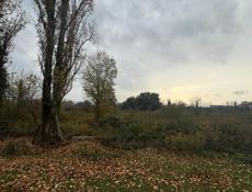 Участок на территории приморском 