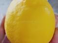 Лимон 🍋