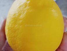 Лимон 🍋