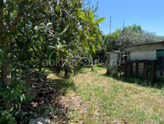 Гагра Колхида,участок 17 соток