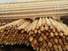 Колушки Акация !!