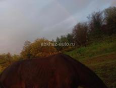 Срочная продажа 