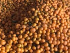 Продаётся мандарины