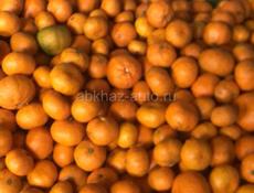Продаётся мандарины