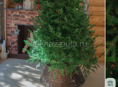 Елка новая 2.7м 