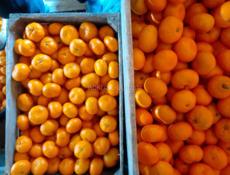 Продаются мандарины 