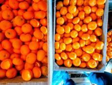 Продаются мандарины 