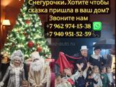 Дед Мороз и Снегурочка 