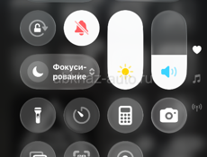 Возьму в добрые руки породистого щенка