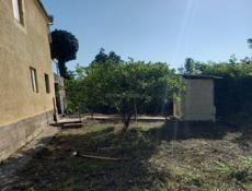 Такая цена только в декабре.