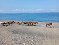 АЭРОПОРТ 1ГА С ДОКУМЕНТАМИ