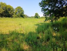 АЭРОПОРТ 1ГА С ДОКУМЕНТАМИ