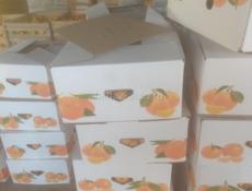 Мандарин на евро тара