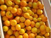 Мандарин с укладкой 