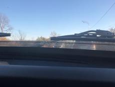 Срочно даром 