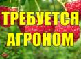 АГРОНОМ (пос.Ачадара)