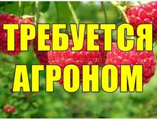 АГРОНОМ (пос.Ачадара)