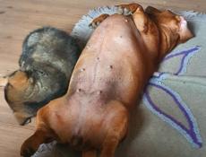 Нужен кабель таксы для вязки