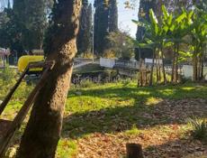 Срочно ‼️ В центре Н. Афона